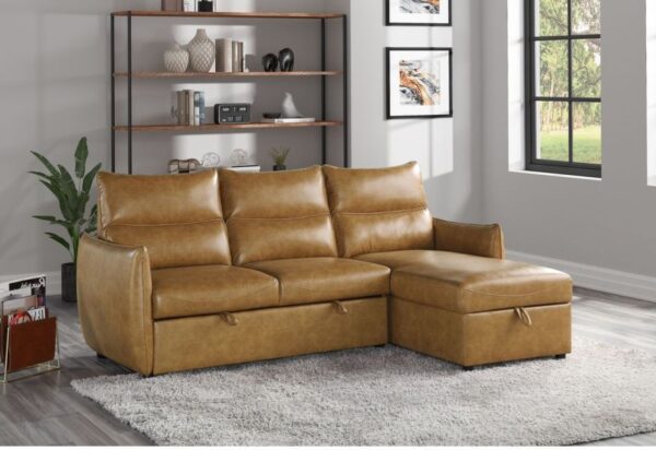 sofa cum bed manufacturer inn Bangalore
